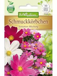 Image result for Schmuckkörbchen