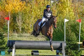 Image result for Jp-Sheffield Eventing