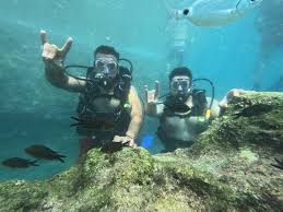 Image result for Worcester Divers Octopush Club