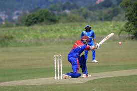 Image result for Stirling County Cricket Club