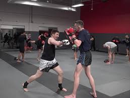 Image result for Precision MMA Mixed Martial Arts Training