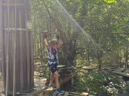 Image result for Go Ape! Leeds Castle