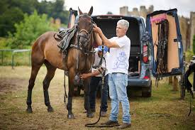 Image result for Cowdray Park Polo Club