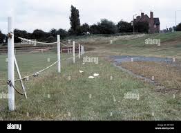 Image result for Beech Tree Miners Welfare Bowling Club