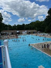 Image result for Ledbury & District Amateur Swimming Club
