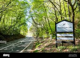 Image result for Dorking Golf Club