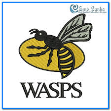 Image result for Wasps Football Club