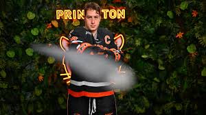 Image result for Dartmouth Central Bowling Club