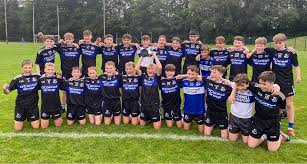 Image result for Patrick Sarsfield Gaelic Athletic Club