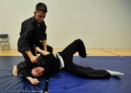 Image result for Intelligent Martial Arts