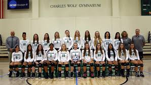 Image result for York University Volleyball Club