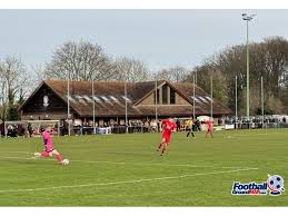 Image result for Hassocks Ladies FC