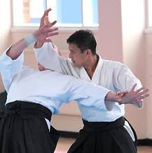 Image result for Aikido - Shobu UK