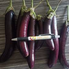 Afbeeldingsresultaat voor slim jim eggplant