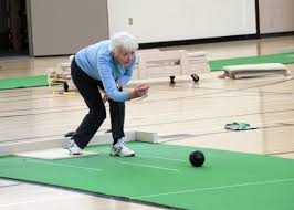 Image result for Rhydlewis Short Mat Bowling Club