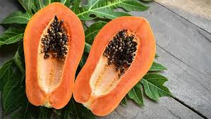 Image result for Carica papaya