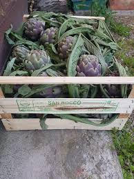 Image result for Cupello