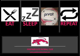 Image result for Ecs Predators Netball Club