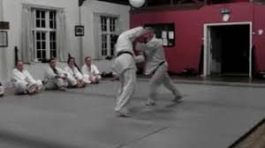 Image result for Aikido Rickmansworth