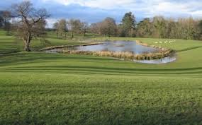 Image result for Llandyrnog Bowls Club