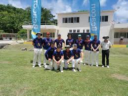 Image result for Old Alresford Cricket Club