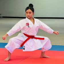 Image result for Shitokai Karate Club