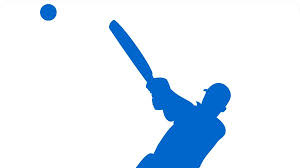 Image result for Peasedown-St-John Cc