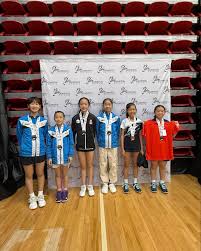 Image result for Isca Juniors Badminton Club