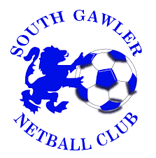 Image result for Southfields Netball Club