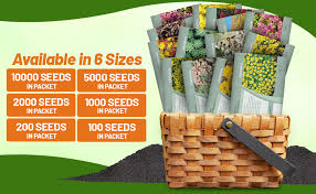 Attēlu rezultāti vaicājumam “Sedum aizoon fruit”