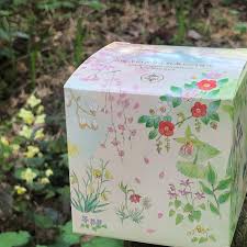 「望月麻里（マリ）」の画像検索結果