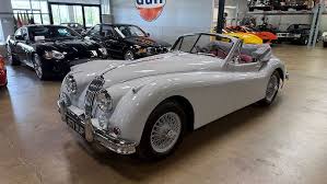 Image result for Old English White 1955 Jaguar