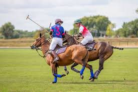 Image result for Cambridge and Newmarket Polo Club