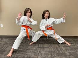 Image result for Carn Brea Karate Kai