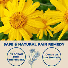 Attēlu rezultāti vaicājumam “Arnica montana”