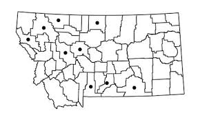 Attēlu rezultāti vaicājumam “Hymenostylium recurvirostrum”