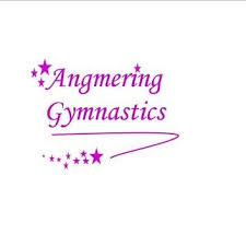 Image result for Angmering School Of Gym
