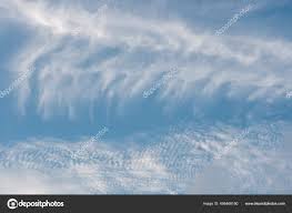 Attēlu rezultāti vaicājumam “Cirrus fibratus”