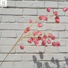 Attēlu rezultāti vaicājumam “Enkianthus chinensis”