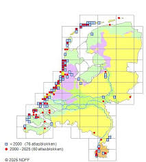 Attēlu rezultāti vaicājumam “Nyctegretis lineana”