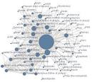 social network » Jobs Spot