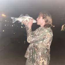 Image result for Alosa chrysochloris