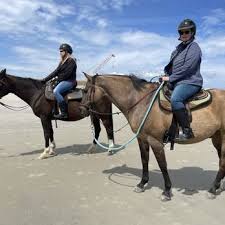 Image result for North Lammermuir Riding Club
