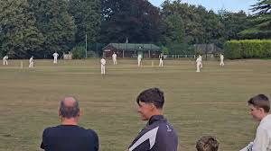 Image result for Buxted Park Cricket Club
