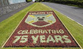 Image result for Tullylish Gac