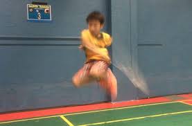 Image result for Halwill Badminton Club