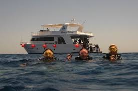 Image result for Bedford Scuba Divers