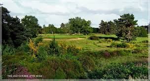 Image result for Walton Heath Golf Club