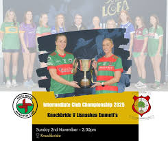 Image result for Lisnaskea Emmetts Gfc