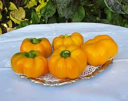 Afbeeldingsresultaat voor topepo giallo sweet pepper